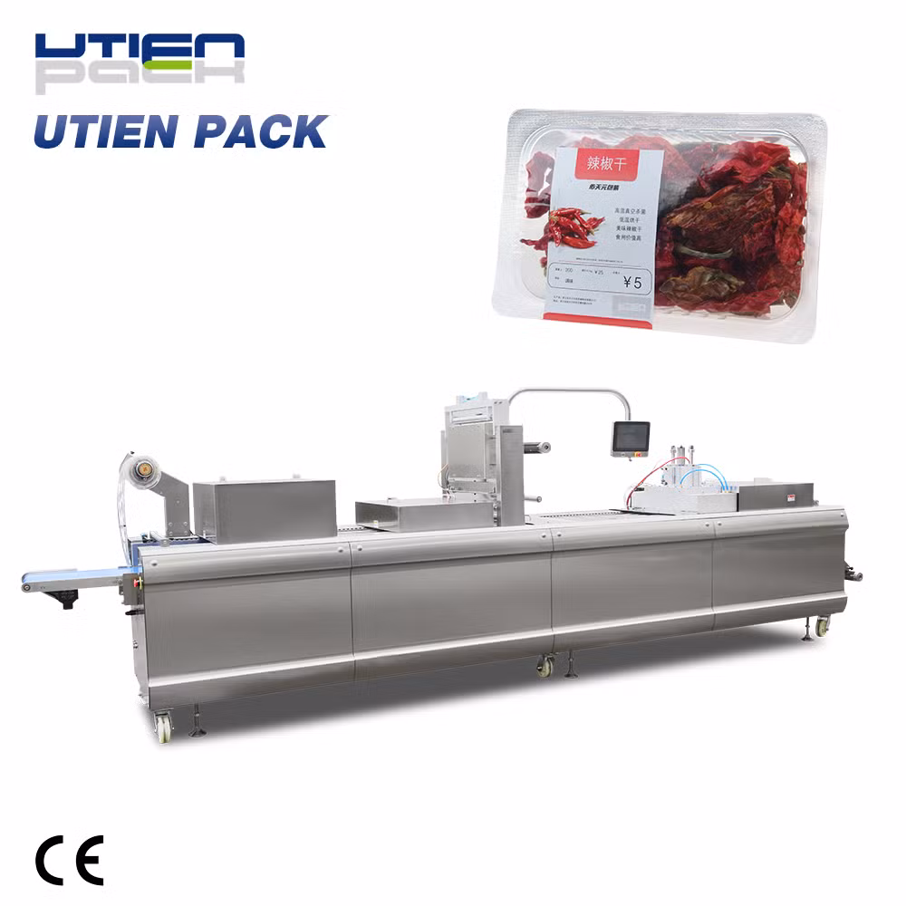 Vacuum Packaging Machines Sealer Vacuum Machine for Food Packaging