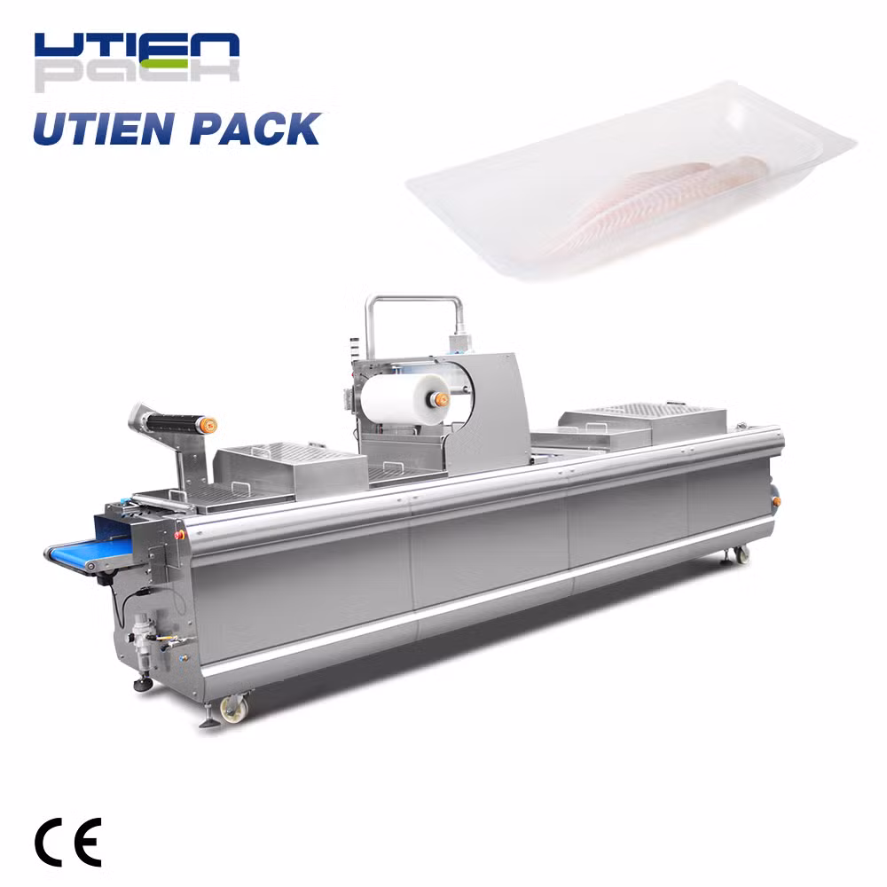 High Efficiency Food Vacuum Thermoform Sealing Forming Packer
