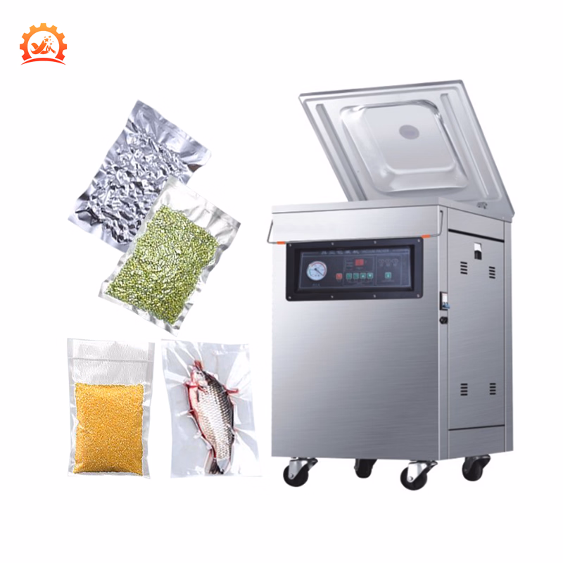 Cheap Dz-500-2D Vacuum Packaging Machine Auto Vacuum Sealer 500mm Price