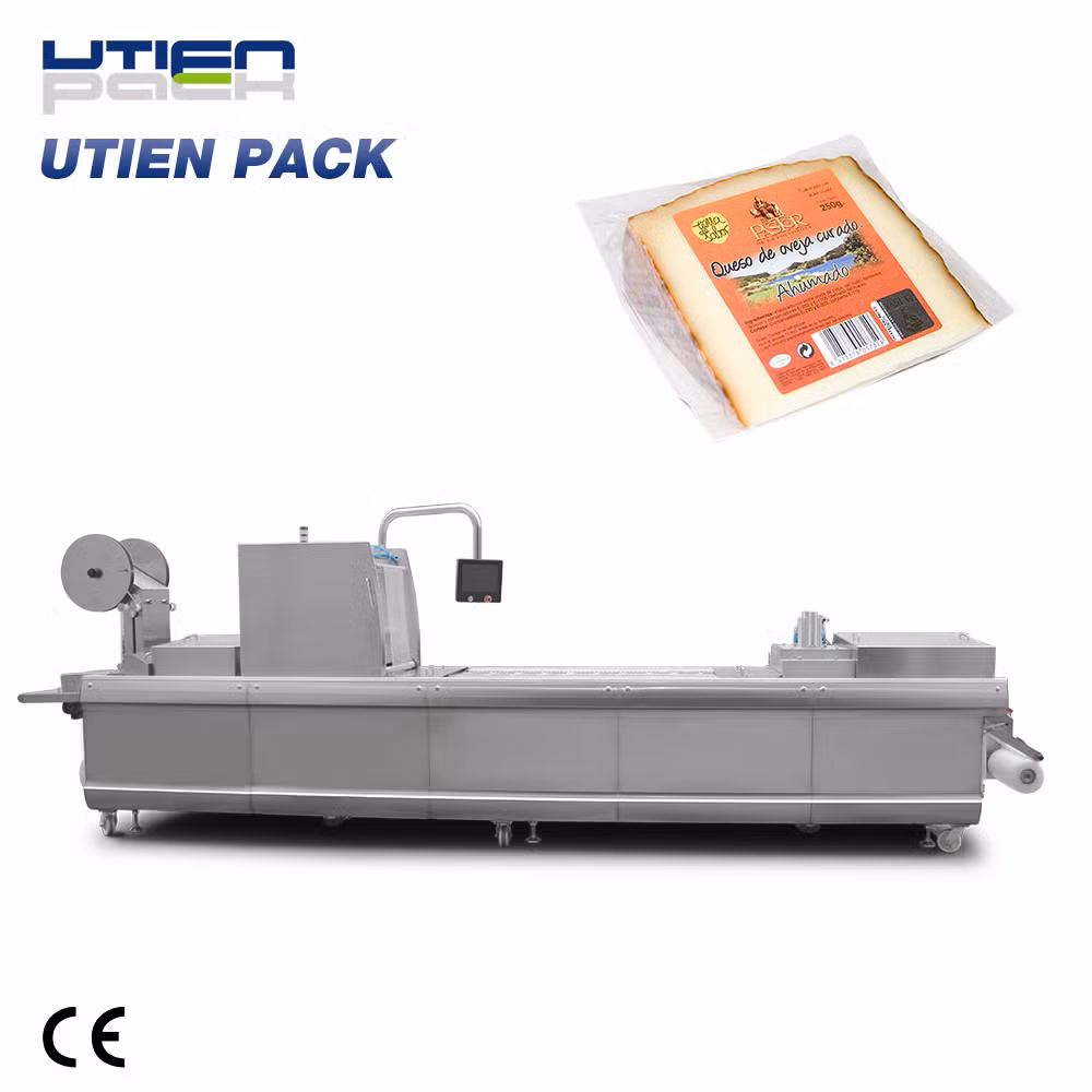 White Cheese Thermoforming Packaging Machinery (DZL)