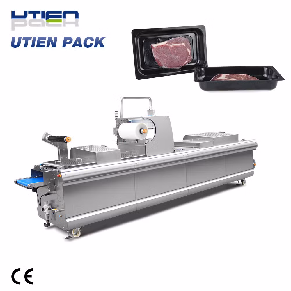 Solid Sealing Thermoform Packer for Meat Products with Reliable Quality
