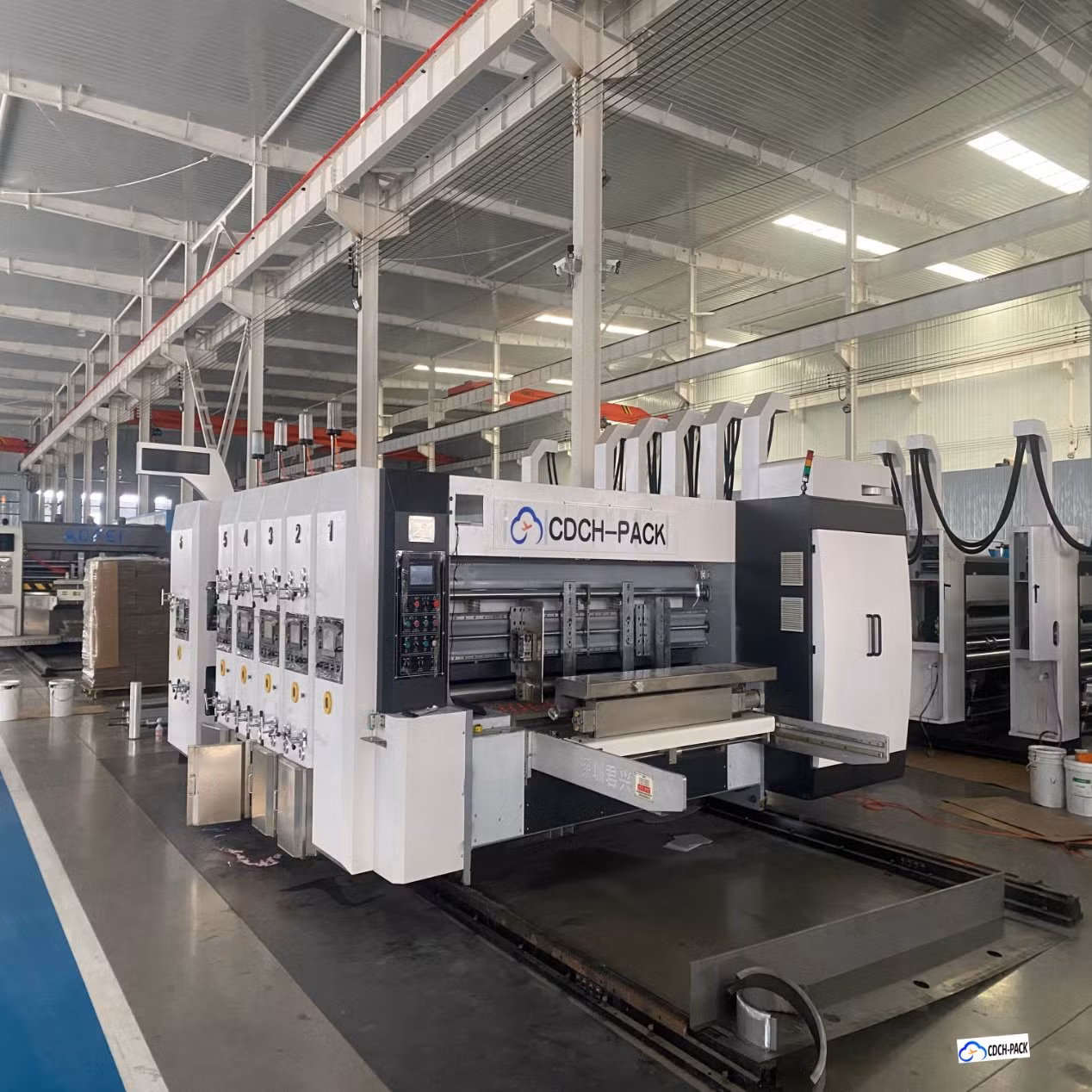 Box Carton Packing Automatic Labeling Ink Printing Rotary Pressing Grinding Die Cutting Packing Packaging Strapping Shrink Wrapping Cartoning Machine