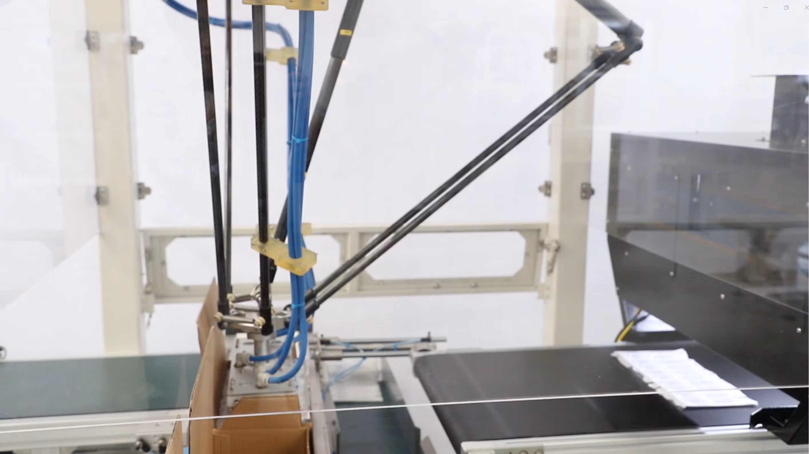 Precision Accurate Carton Loading for Small-Scale Lines Automated Delta Robot Case Packer
