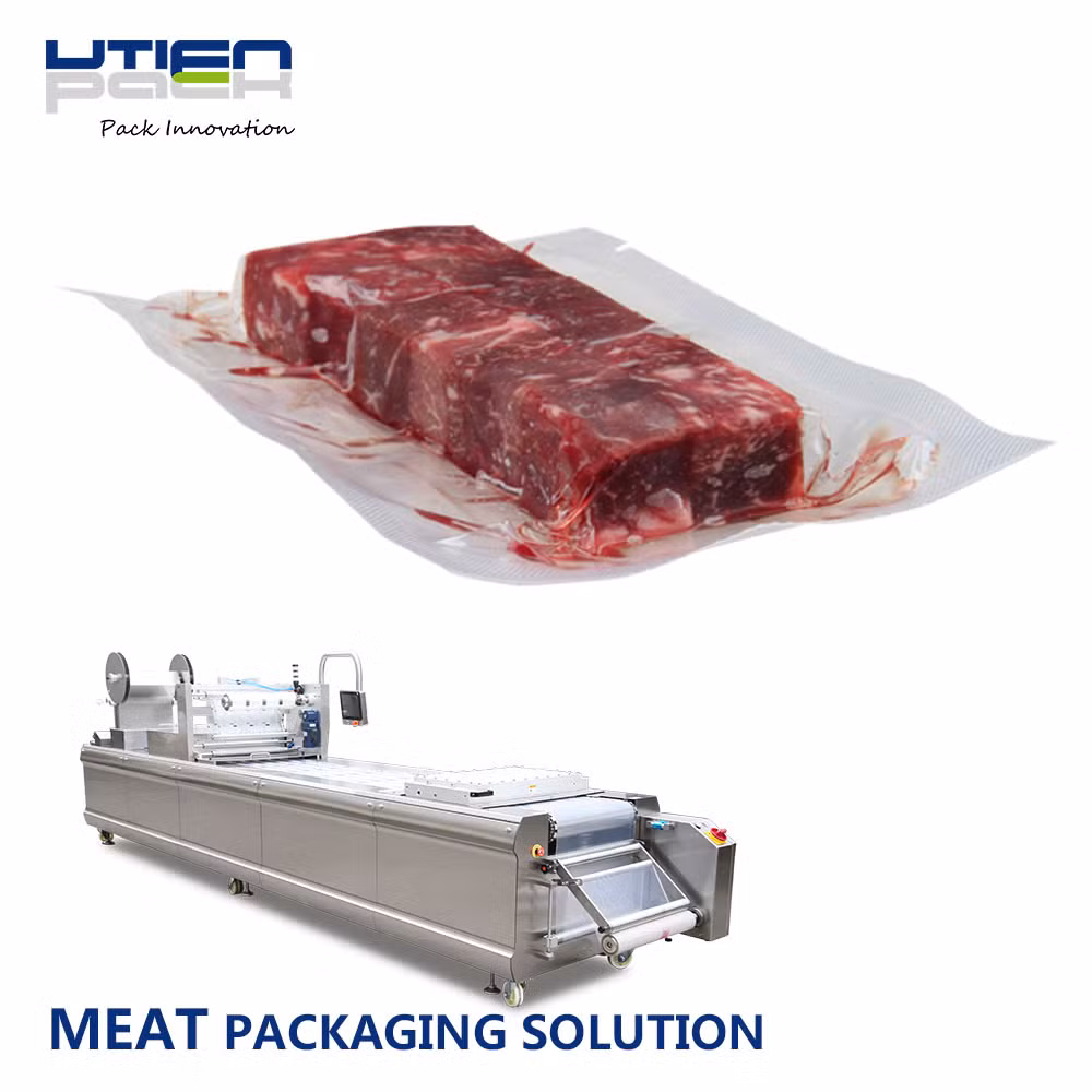 Labor Material Cost Effective /Fruit/Fish/Meat Vacuum Packing Packaging Machines