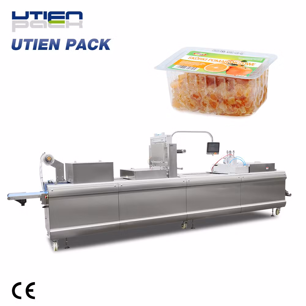 Snack Blister Thermoforming Packaging Machine (DZL)