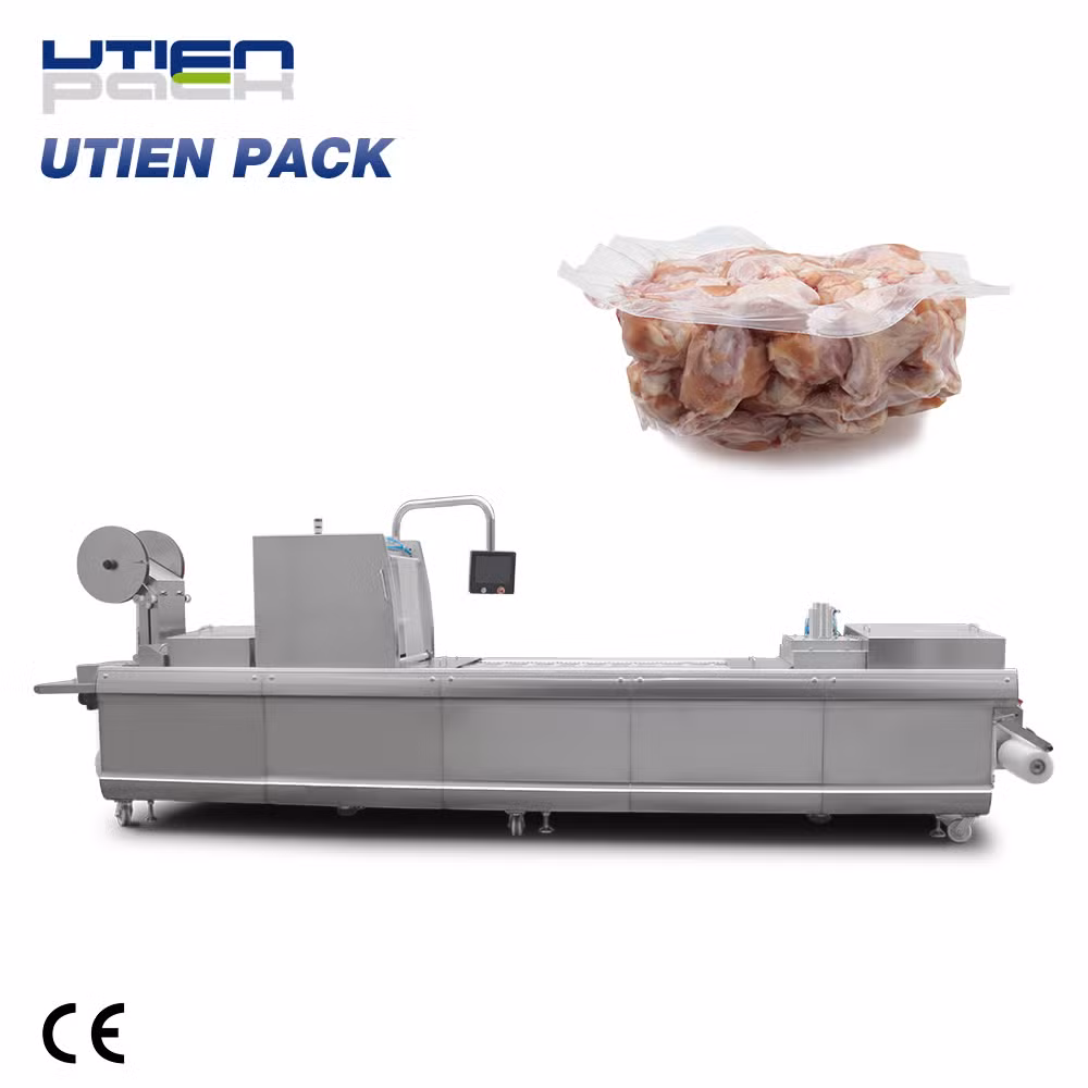 Automatic Vacuum Package Machine (DZL)