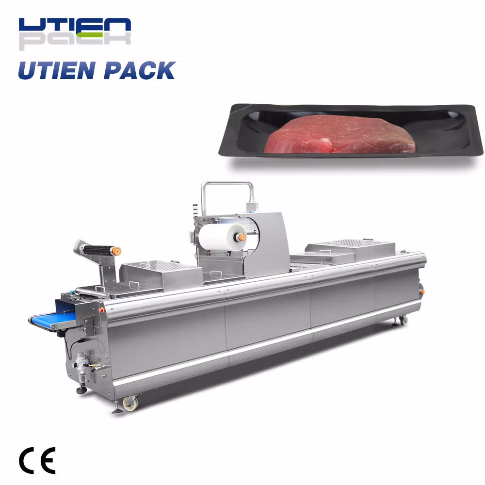 Dzl-420vsp Thermoforming Vacuum Skin Packaging Machine for Foods