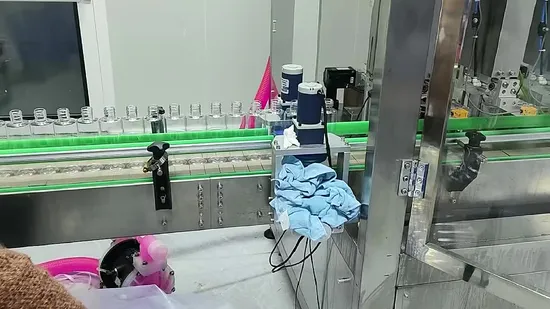 Stainless Steel Liquid Cream Filling Line for Food Industry - Filling Line and Sealing Line