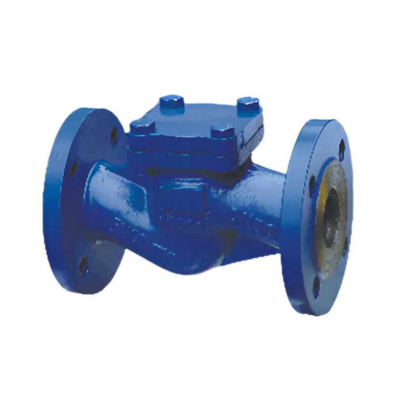 DIN Standard Check Valve Strainer Manufacturer & Factory - WKT VALVE
