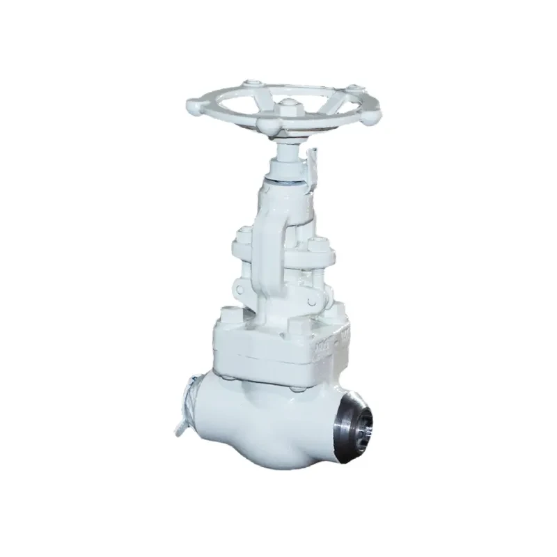 Forged Steel A105 1" 150LB BW Globe Valve Manufacturer & Factory - WKT VALVE