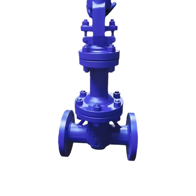 Bellows-Sealed Gate Valve Manufacturer & Factory - WKT VALVE
