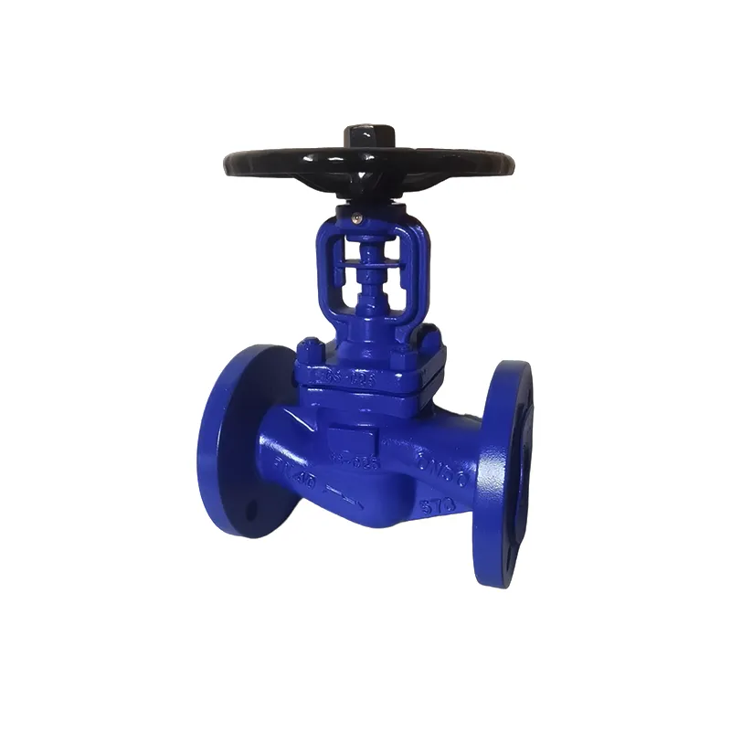 DIN Bellows Globe Valve Manufacturer & Factory - WKT VALVE