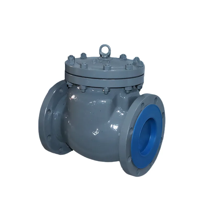 Cast Steel CF8M 8" 300LB Flanged Swing Check Valve Manufacturer & Factory - WKT VALVE
