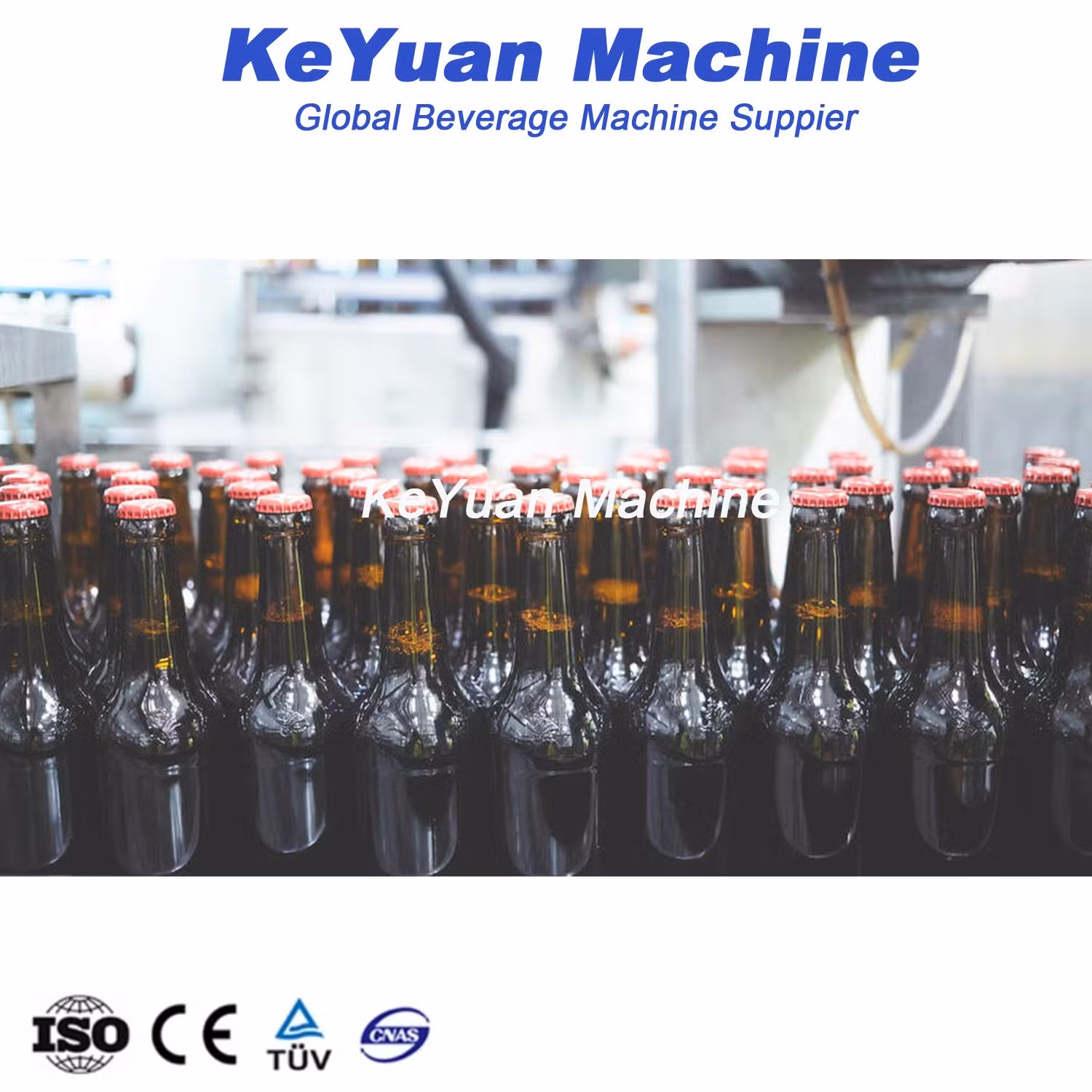 Rotary Type Automatic 3 in 1 Beer Glass Bottle Washing Filling Capping Machine Beer Filling Machine