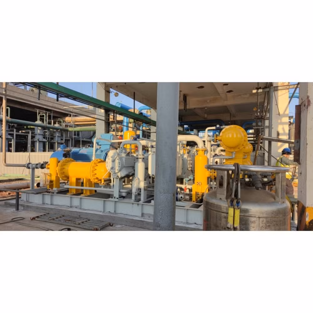 Easy Operate Skid-Mounted Tsa Industrial Gas Dehydration Equipment for Polymer Manufacturing