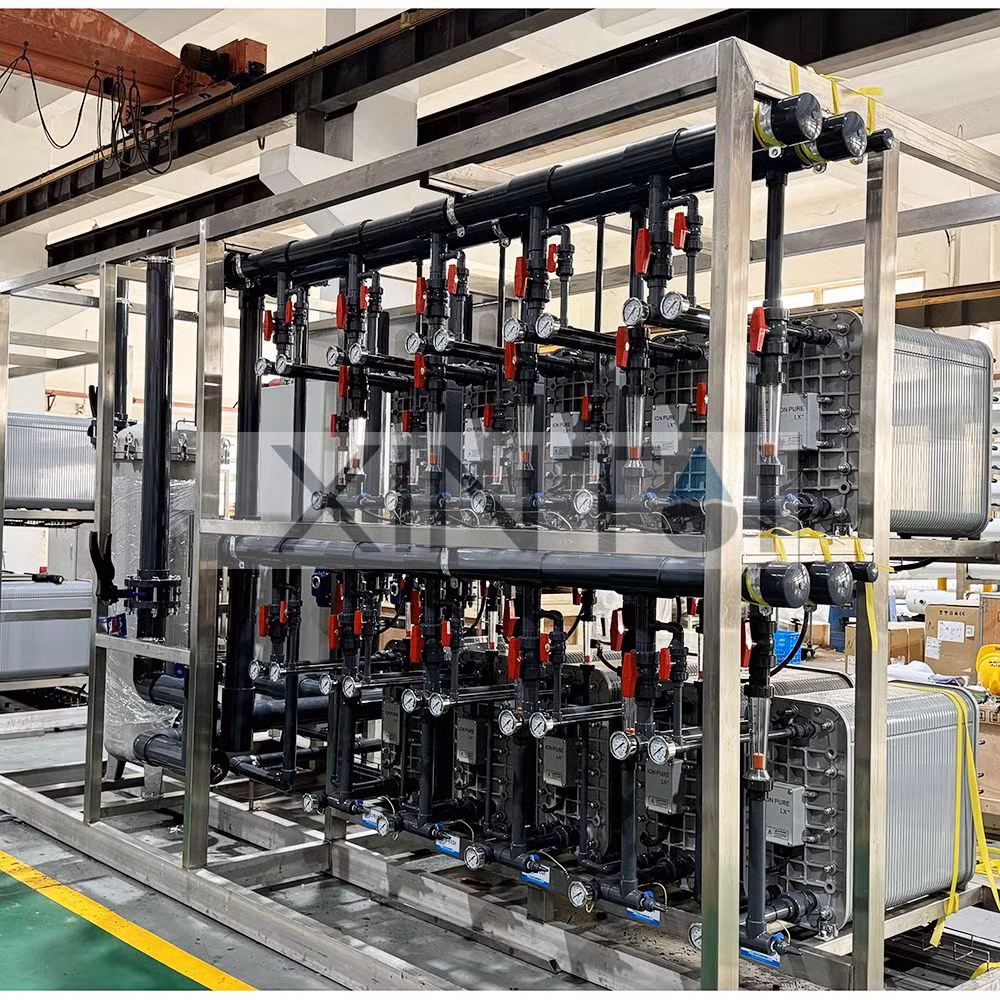50tons Customized Professional Water Treatment System Ultrapure Industrial Water Solutions and Equipment with Newest EDI Dionized RO Membrane Filter