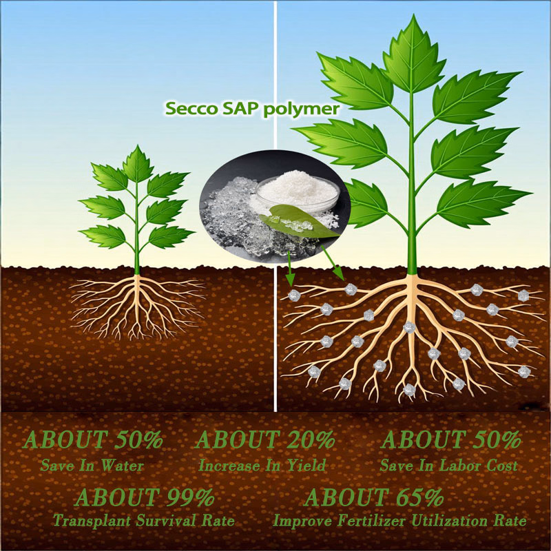 MSDS Price Sap Super Absorbent Polymer for Agriculture Water Conservation in Soil