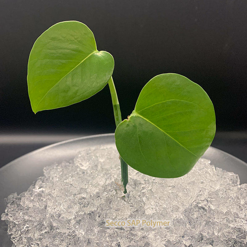 Potassium Polyacrylate Sap Polymer Super Absorbent Resin for Agricultural Soil Water Retention